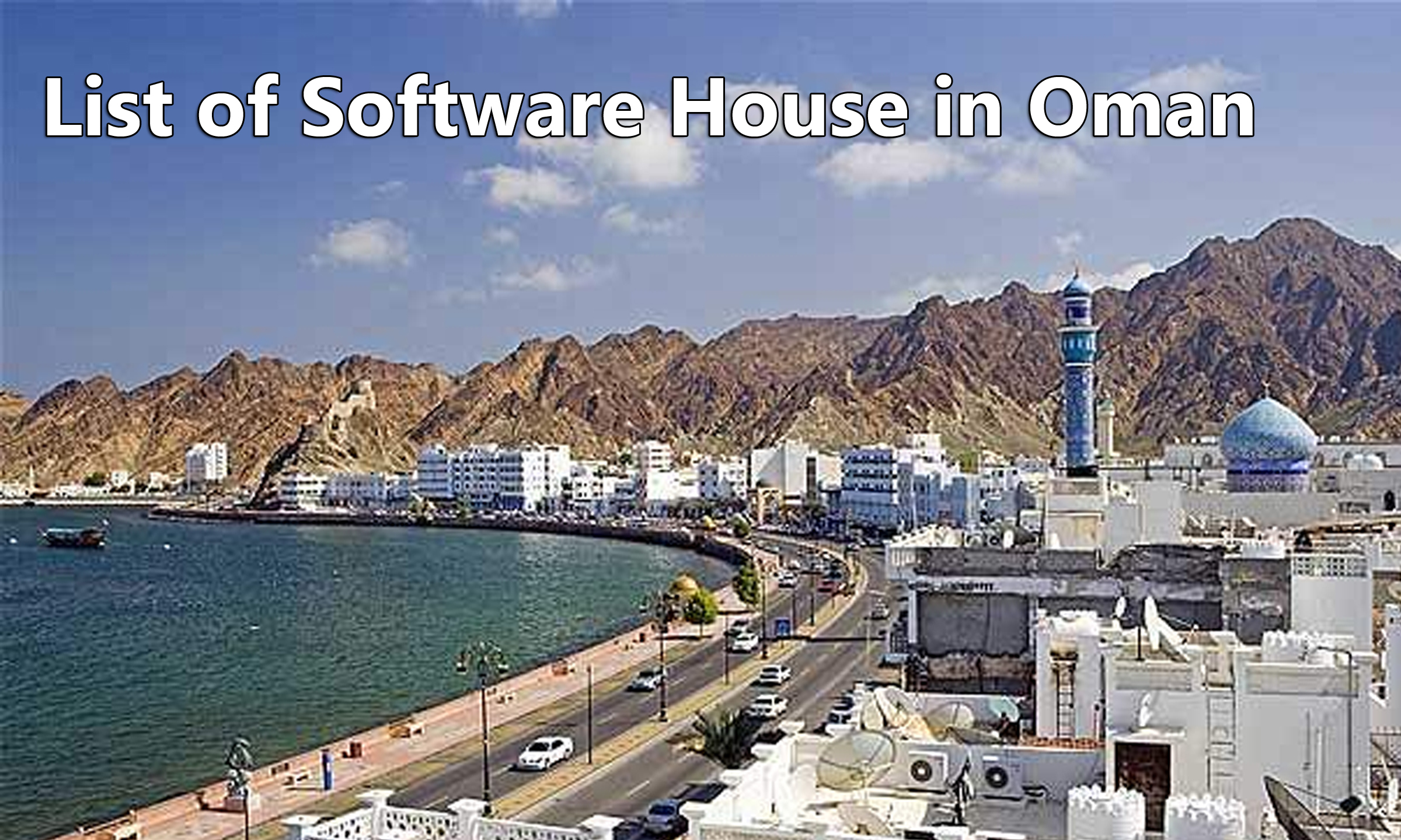 Software house in Oman